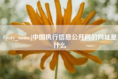 阿拉尔中国执行信息公开网的网址是什么