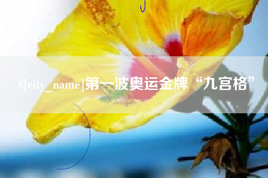 阿拉尔第一波奥运金牌“九宫格”