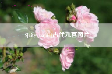 阿拉尔古代九宫图片