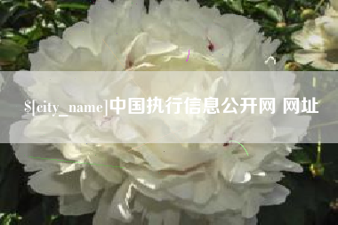 阿拉尔中国执行信息公开网 网址
