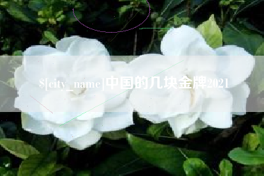 阿拉尔中国的几块金牌2021
