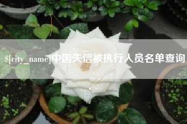 阿拉尔中国失信被执行人员名单查询