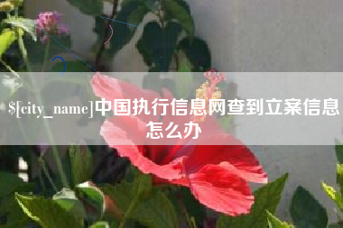 阿拉尔中国执行信息网查到立案信息怎么办
