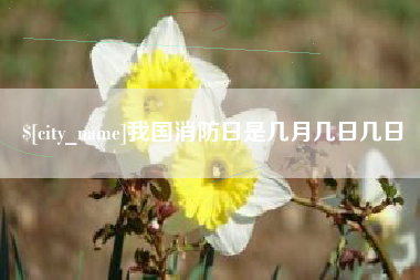 阿拉尔我国消防日是几月几日几日