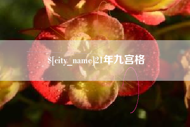 阿拉尔21年九宫格