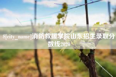 阿拉尔消防救援学院山东招生录取分数线2020