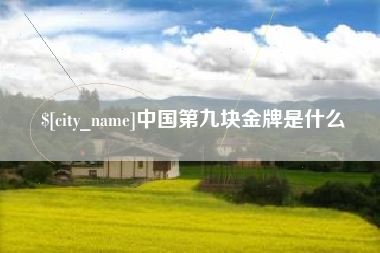 阿拉尔中国第九块金牌是什么