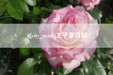 阿拉尔王子豪百科