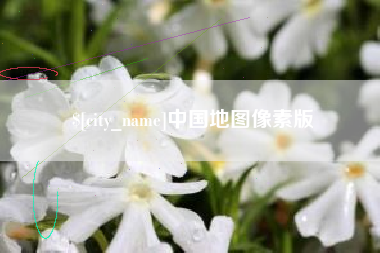 阿拉尔中国地图像素版