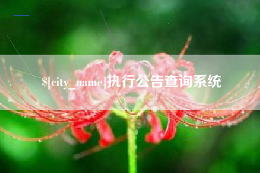阿拉尔执行公告查询系统