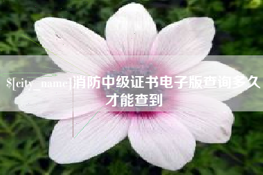 阿拉尔消防中级证书电子版查询多久才能查到