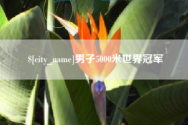 阿拉尔男子5000米世界冠军