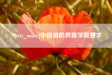 阿拉尔中国消防救援学院要求