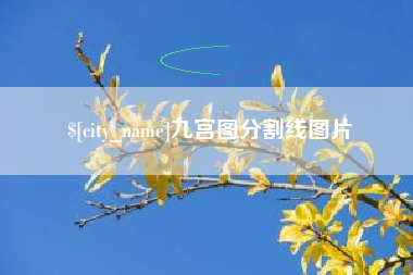 阿拉尔九宫图分割线图片