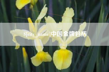 阿拉尔中国金牌包括