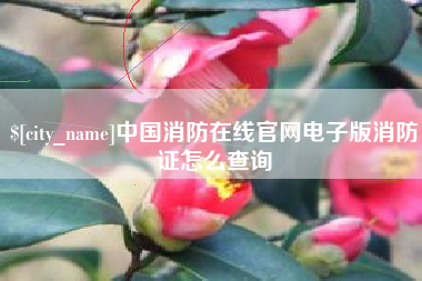 阿拉尔中国消防在线官网电子版消防证怎么查询