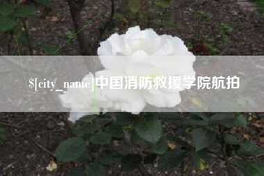 阿拉尔中国消防救援学院航拍