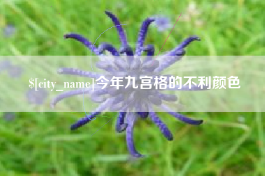 阿拉尔今年九宫格的不利颜色