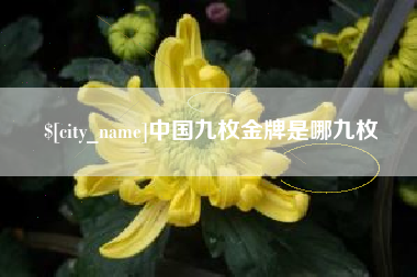 阿拉尔中国九枚金牌是哪九枚