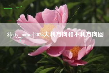 阿拉尔2025大利方向和不利方向图