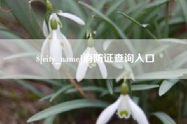 阿拉尔消防证查询入口