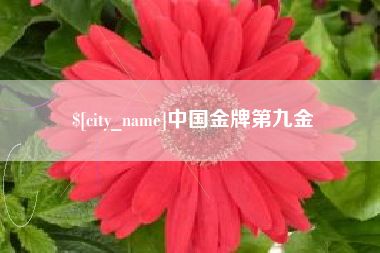 阿拉尔中国金牌第九金