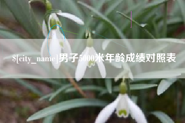 阿拉尔男子5000米年龄成绩对照表
