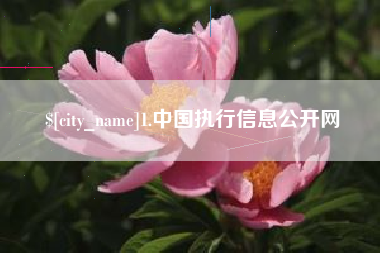 阿拉尔1.中国执行信息公开网