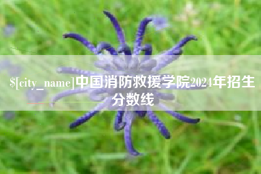 阿拉尔中国消防救援学院2024年招生分数线