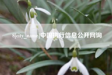 阿拉尔中国执行信息公开网询