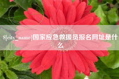 阿拉尔国家应急救援员报名网址是什么
