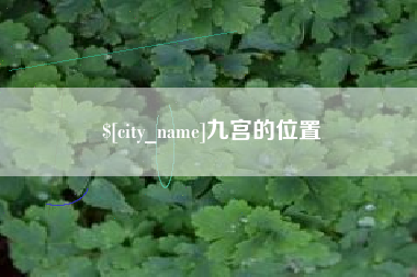 阿拉尔九宫的位置