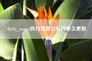 阿拉尔执行信息公开网多久更新
