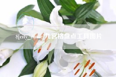 阿拉尔九宫格盘点工具图片