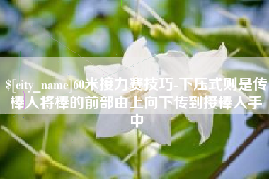 阿拉尔60米接力赛技巧-下压式则是传棒人将棒的前部由上向下传到接棒人手中