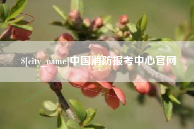 阿拉尔中国消防报考中心官网
