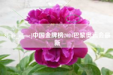 阿拉尔中国金牌榜2024巴黎奥运会最新