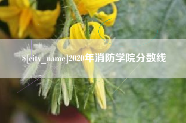 阿拉尔2020年消防学院分数线