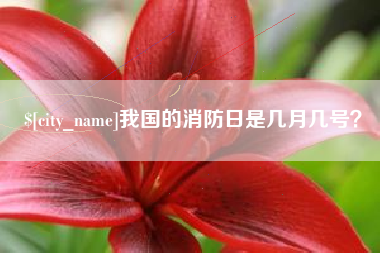 阿拉尔我国的消防日是几月几号？