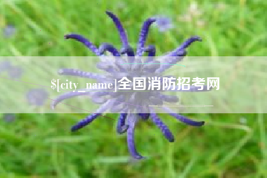 阿拉尔全国消防招考网