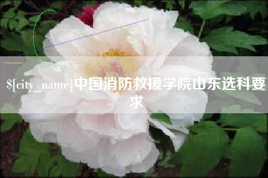 阿拉尔中国消防救援学院山东选科要求