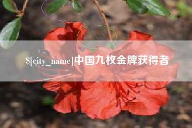 阿拉尔中国九枚金牌获得者