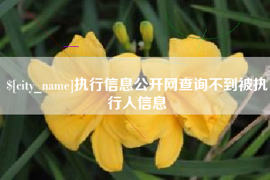 阿拉尔执行信息公开网查询不到被执行人信息