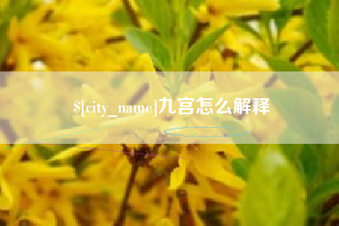 阿拉尔九宫怎么解释