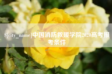 阿拉尔中国消防救援学院2020高考报考条件