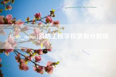 阿拉尔消防工程学校录取分数线