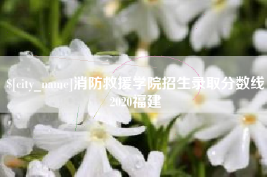 阿拉尔消防救援学院招生录取分数线2020福建