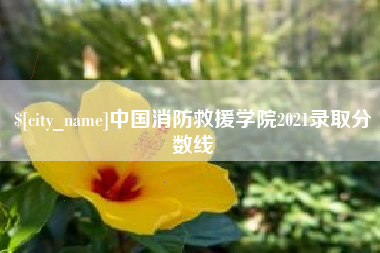 阿拉尔中国消防救援学院2021录取分数线