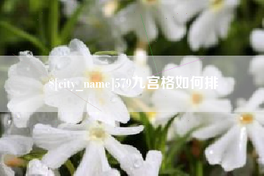 阿拉尔579九宫格如何排