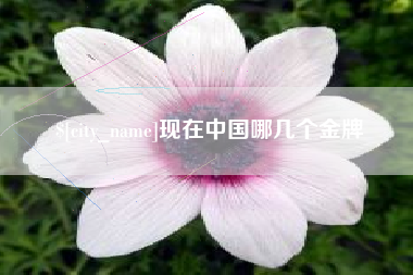 阿拉尔现在中国哪几个金牌